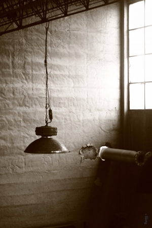gallery/img_2166_low copia